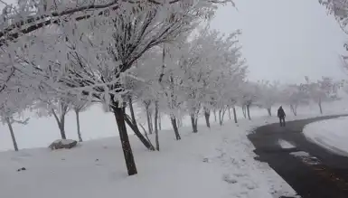 Bitlis'te Yoğun Sis ve Buzlanma Uyarısı!