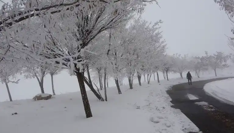 Bitlis'te Yoğun Sis ve Buzlanma Uyarısı!